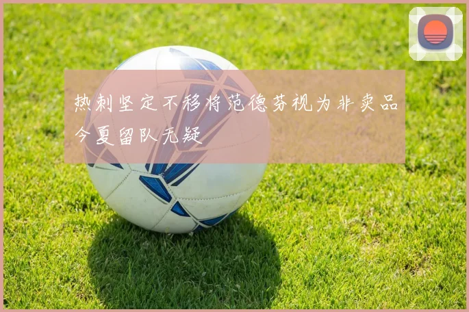 热刺坚定不移将范德芬视为非卖品今夏留队无疑