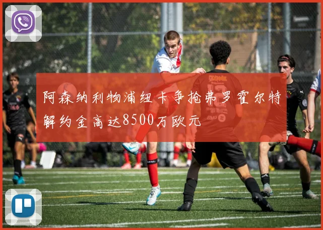 阿森纳利物浦纽卡争抢弗罗霍尔特解约金高达8500万欧元