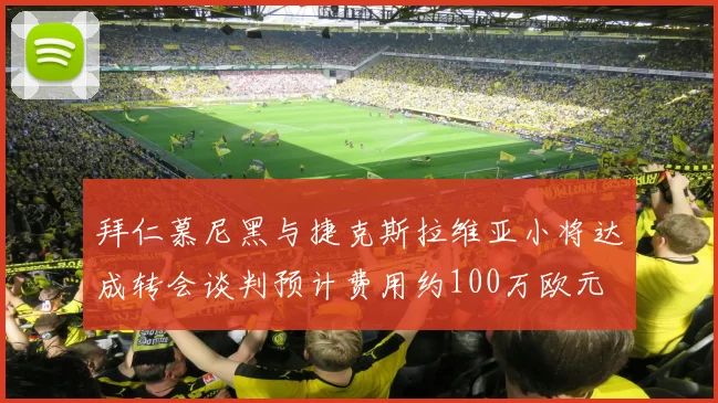 拜仁慕尼黑与捷克斯拉维亚小将达成转会谈判预计费用约100万欧元
